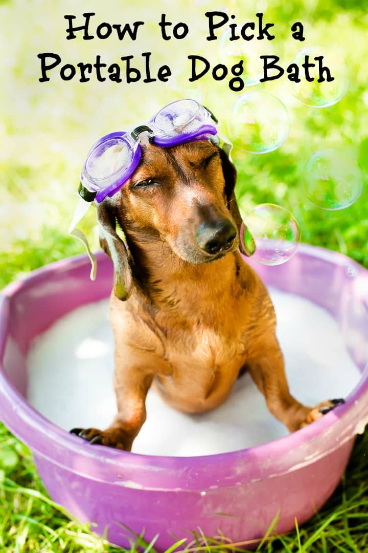 Tips for Choosing the Best Portable Dog Baths DogVills