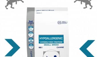 Royal Canin's small breed hypoallergenic dog fod is designed for small mouths. Their hypoallergenic dog food for smaller dogs has smaller kibble.