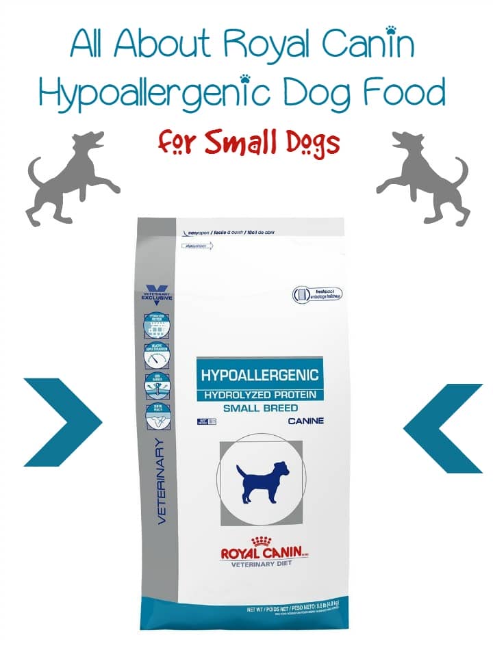 royal canin hypoallergenic small dog hsd 24