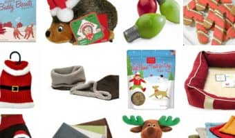 When you're making your list and checking it twice, don't forget to get a little something for Fido & Spot! Check out our favorite Christmas gifts for dogs!