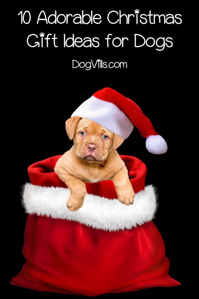 When you're making your list and checking it twice, don't forget to get a little something for Fido & Spot! Check out our favorite Christmas gifts for dogs!