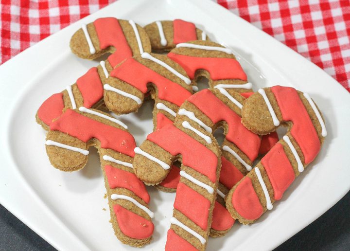 Looking for fun hypoallergenic dog treats? Check out this adorable candy cane holiday dog treats recipe! It's easy to make, and your pup will love it!