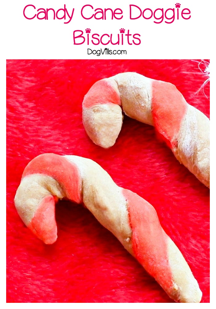 Candy Cane Doggie Biscuits with NO Artificial Coloring!