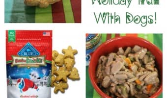Looking for fun ways to include your dog in the holidays? Check out our tips, including incorporating yummy BLUE Santa Snacks into their stocking & more!