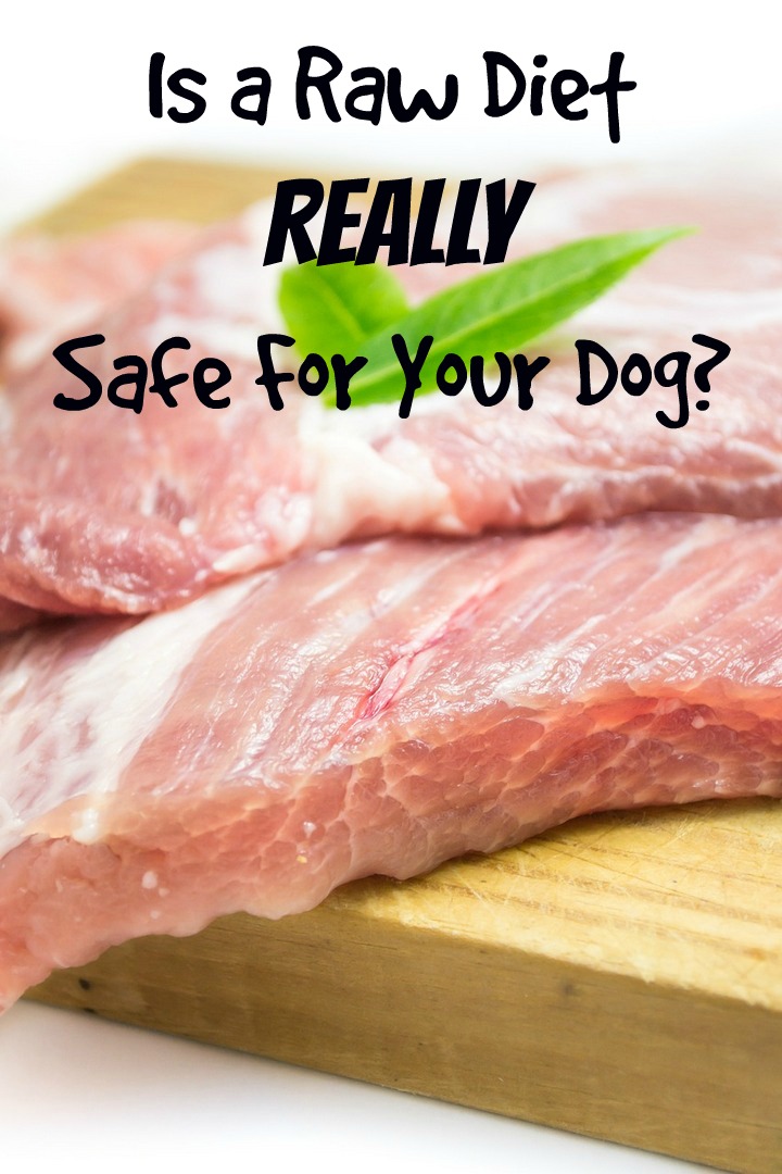 The Pros and Cons of a Raw Diet for Dogs