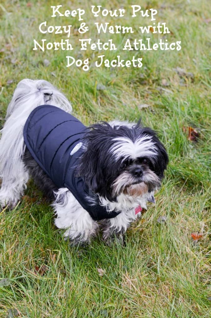 fetch dog coats