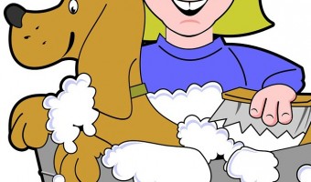 Dog grooming apps are a fun way for your kids to learn what it takes to groom a dog. Check out these fun games!