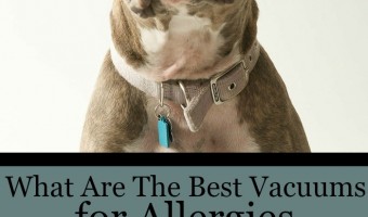 It can seem like a never ending battle to keep allergies at bay and the dog hair where it belongs. Check out these best vacuums for allergies and dog hair!