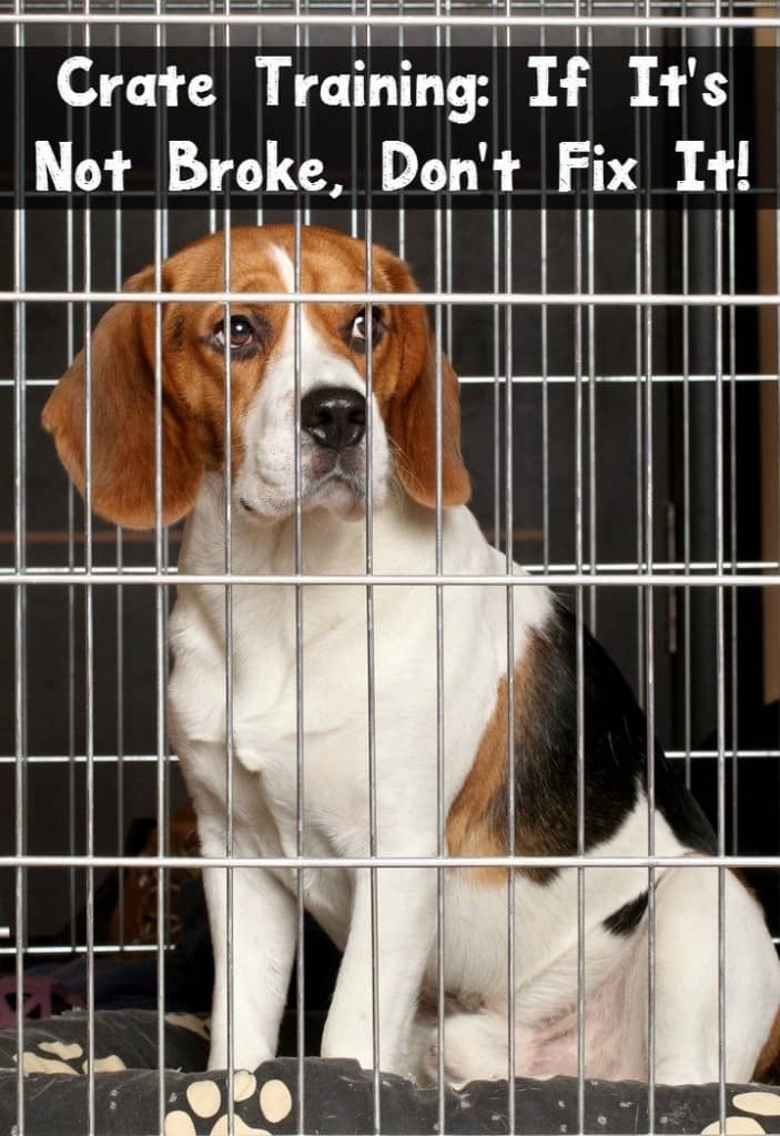 Crate Training - If it Ain't Broke... - DogVills