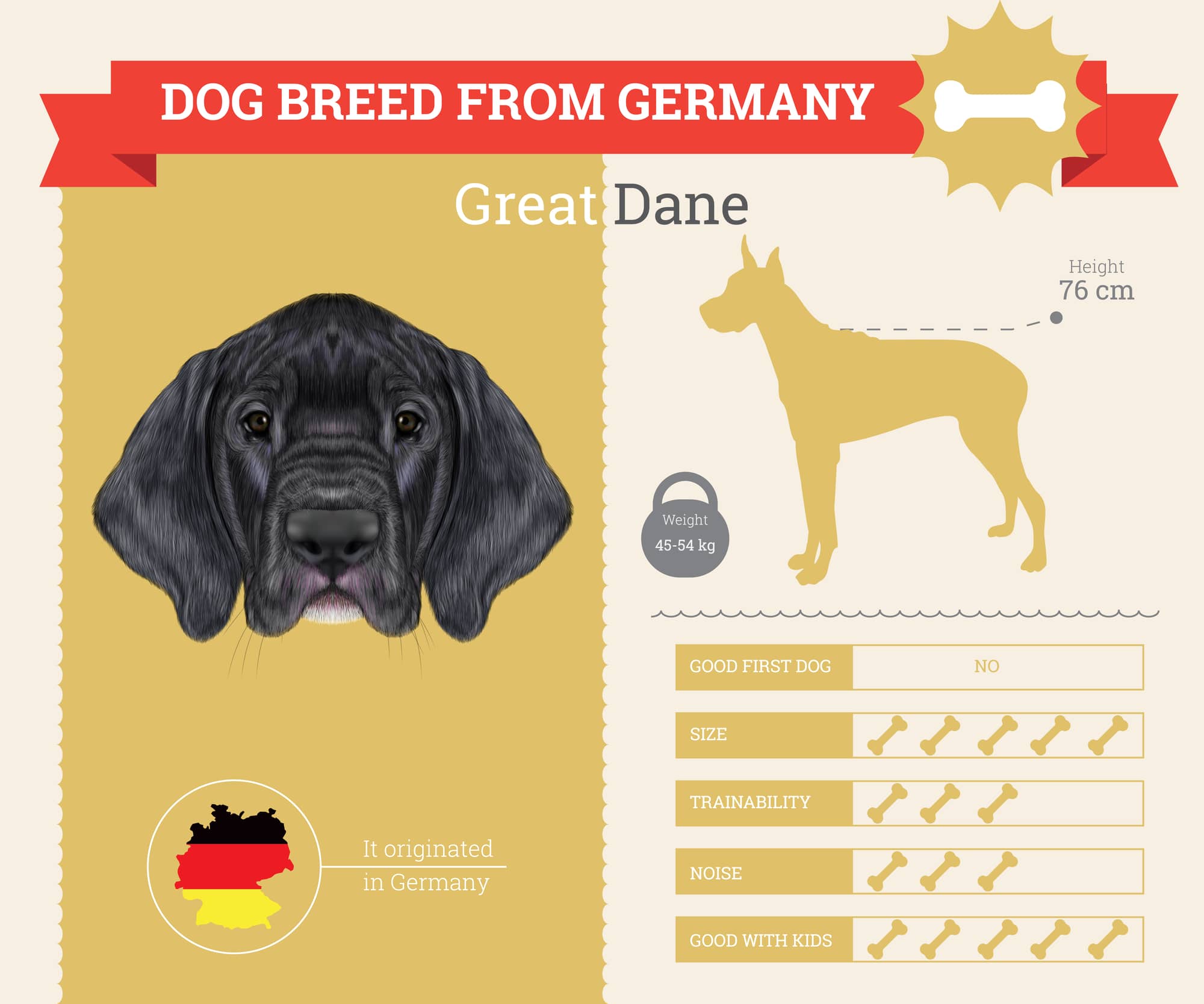 The Great Dane - Everything You Need To Know (Detailed Guide) - http