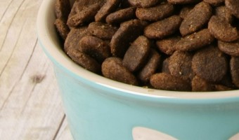 Can you safely make your own homemade dog food and still get the right balance of nutrients for your dog? Our resident vet tech weighs in on the subject. Check out his thoughts!