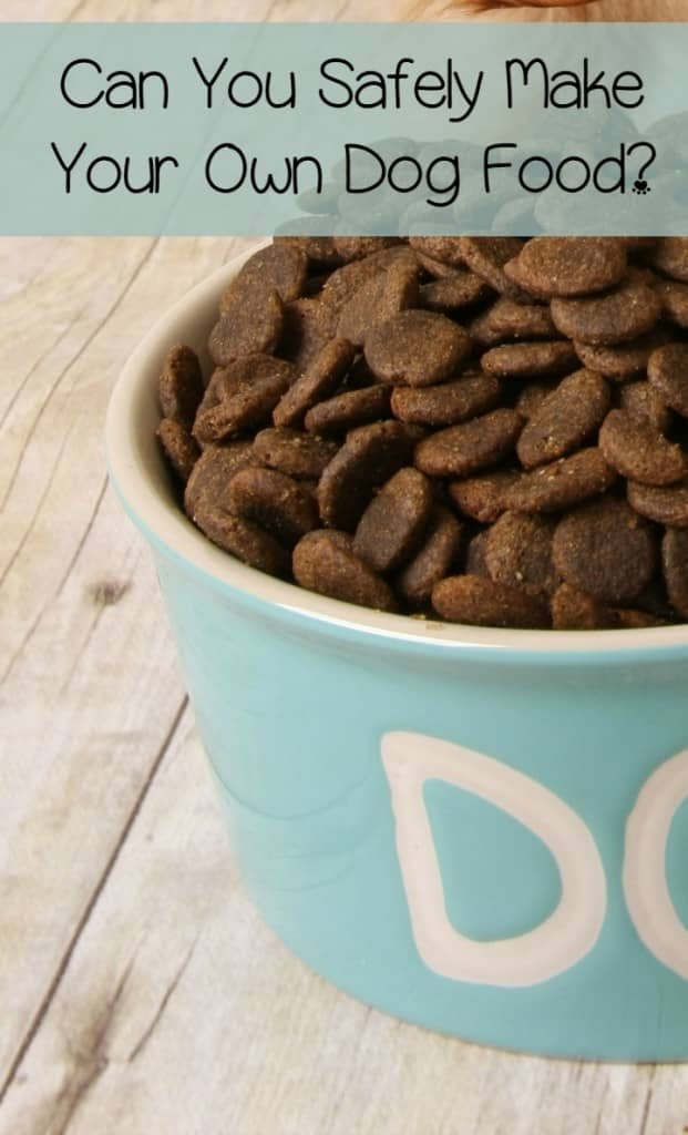 Homemade Food for Dogs An Iffy Recipe at Best