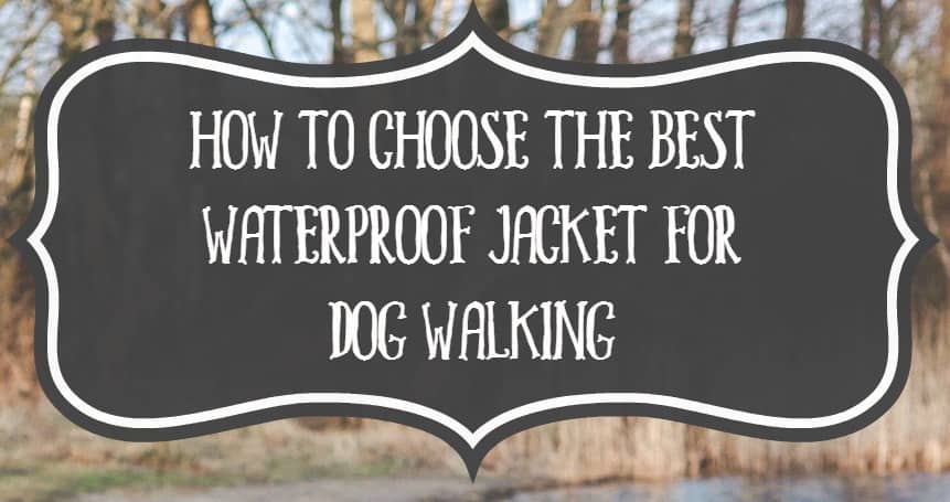 best waterproof dog walking jacket