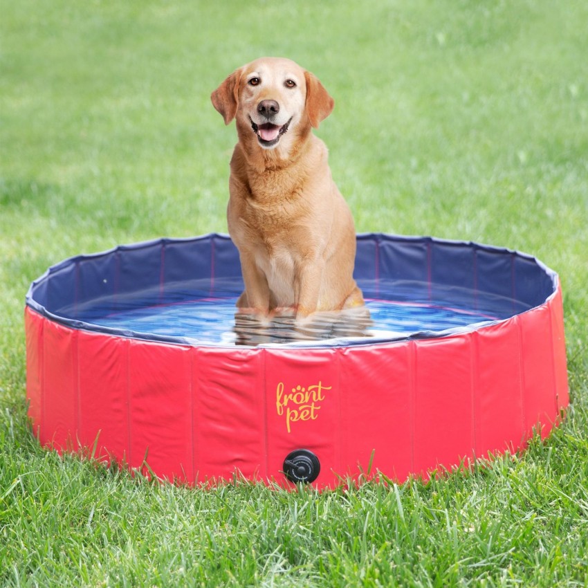 Thinking about getting a dog swimming pool? Check out the different options and pick the best for your budget & back yard! 
