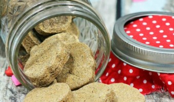 Looking for homemade dog treats recipes that are perfect for giving as gifts to fellow pet parents? Check out our mason jar dog snacks!