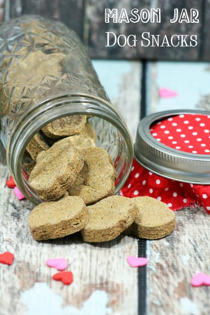 Mason Jar Dog Snacks Homemade Dog Treat Recipe DogVills