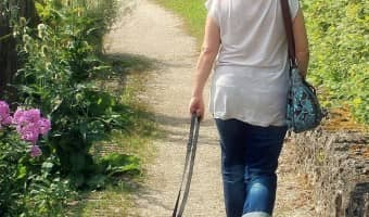 Choosing the right sitter for your dog takes more than just grabbing a name out of the paper! Check out our tips for picking the best dog sitter!