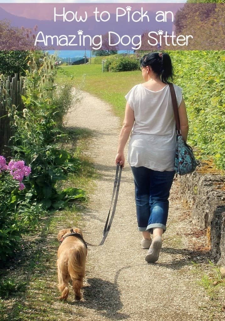 Choosing the Right Sitter for Your Dog DogVills