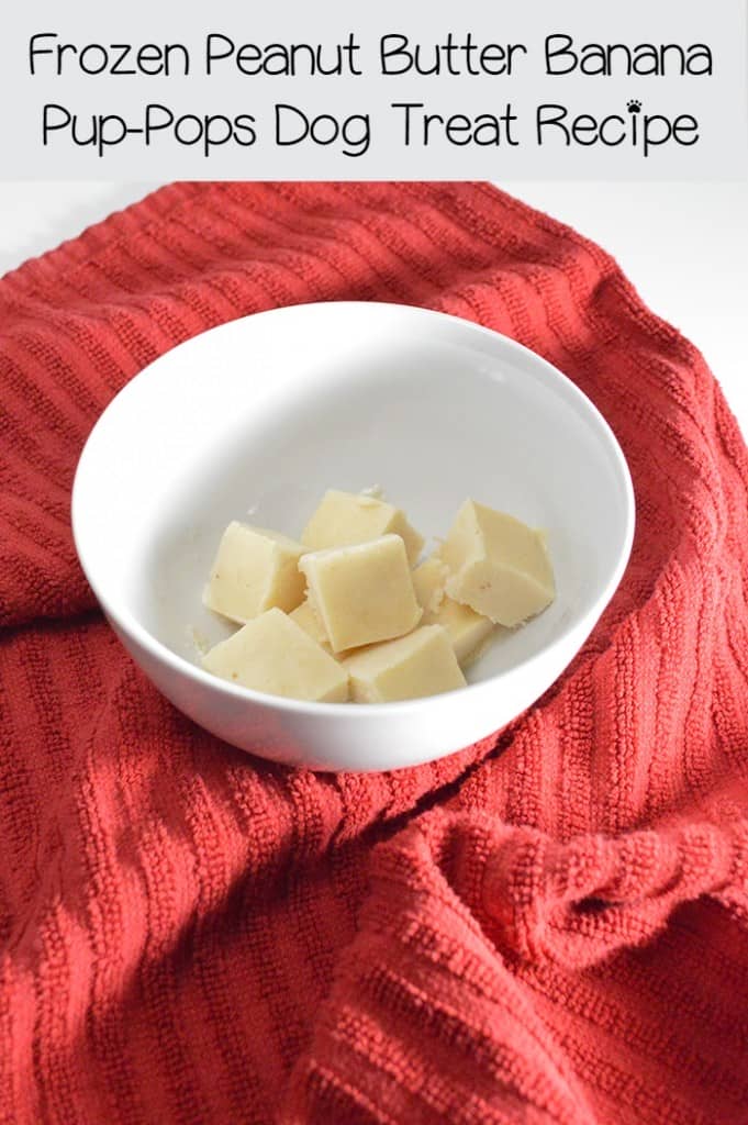 Frozen Peanut Butter Banana Pup-Pops Dog Treat Recipe