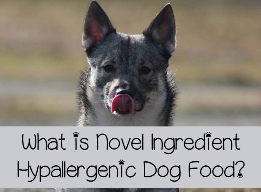 What is Novel Ingredient Hypoallergenic Dog Food?