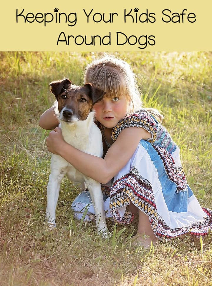Child Safety Tips You Need to Know When Adopting a Dog
