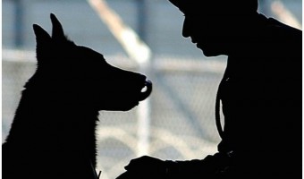 Animal therapy: It's not only used for hospital patient. It is extended to hospital crew. Read how dogs help ease the stress
