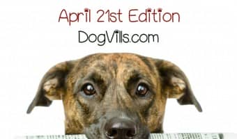 We've rounded up all the top dog news of the week into one handy spot. Check out this week's Barking News!