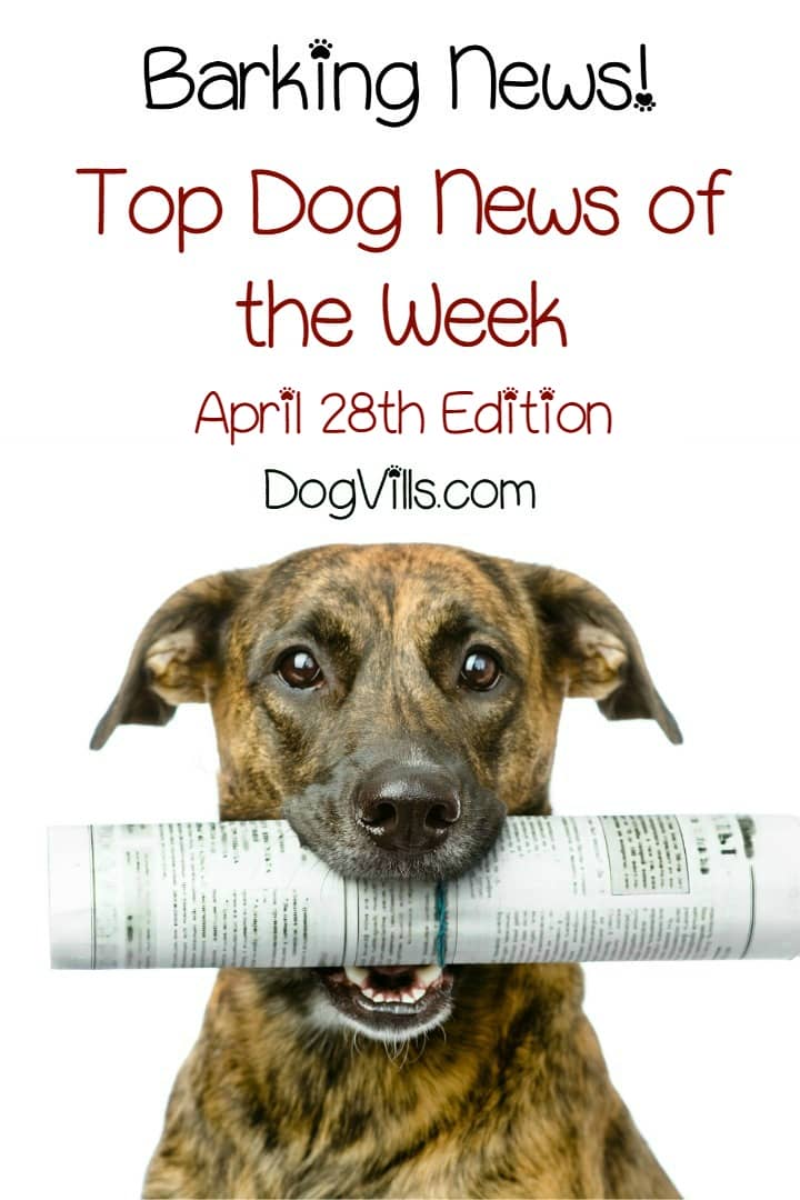 Barking News! The Top Dog News of the Week: April 28th Edition - http