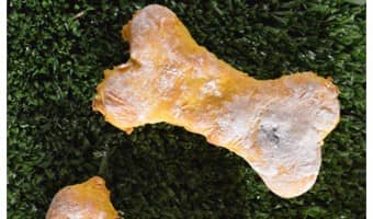 Say so long to stinky dog kisses! Check out this easy minty homemade breath biscuits recipe for dogs to sweeten his slobbery kisses even more!