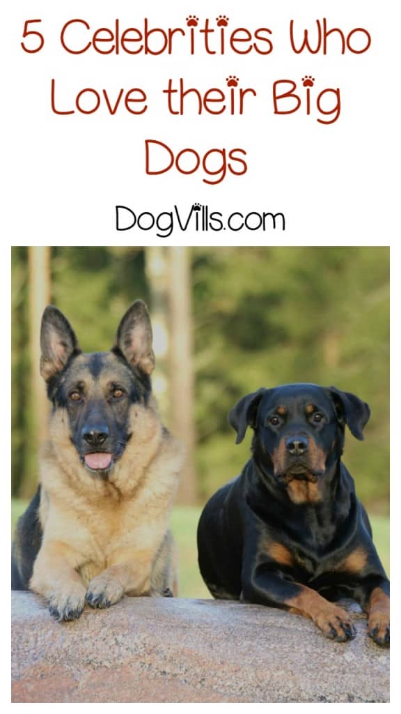Celebrities Who Love Large Dog Breeds