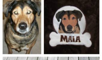 Looking for fun and unique customized dog gear? Check out PrideBites and give your dog a personalized work of art!