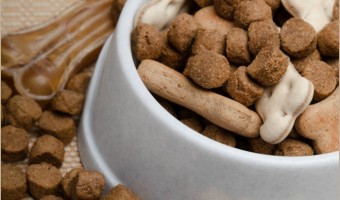 Feeding your dog isn’t always as easy as it sounds. Between the messes, the speed-eating and the icky breath from their dog food, it’s sometimes like trying to feed a toddler! Check out these five hacks that will dog feeding time much easier!