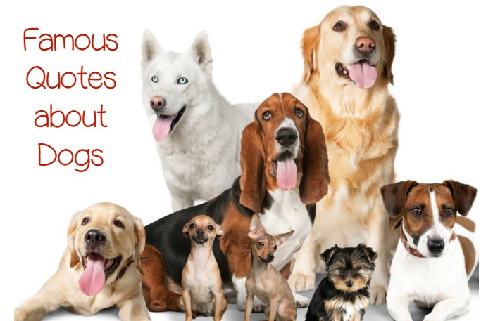 Famous Quotes about Dogs - DogVills