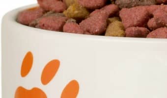 Does reading the dog food label on your pup’s food give you a headache? I don’t know about you, but I used to have a really hard time understanding dog food labels and knowing what to look for, especially with so much conflicting information out there! These tips for demystifying the mess really helped clarify things for me! Now I feel like I know what to feed my dog!