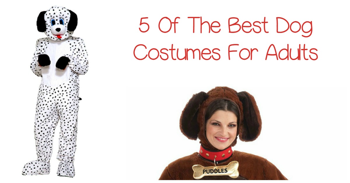 5 Of The Best Dog Costumes For Adults To Wag Your Tail About