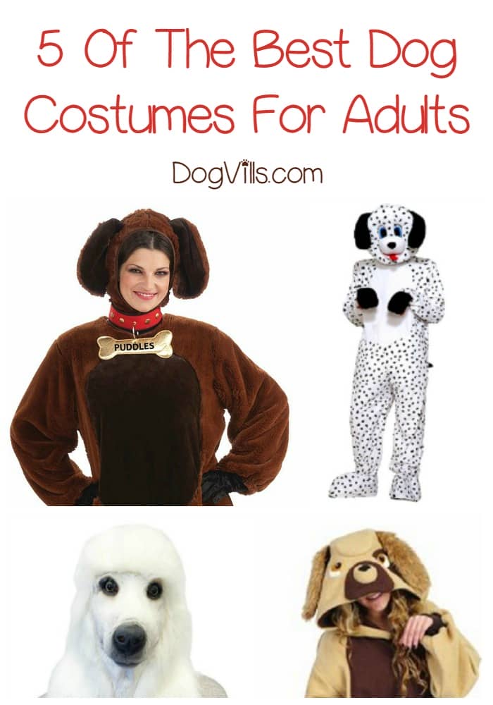dog costume for adults
