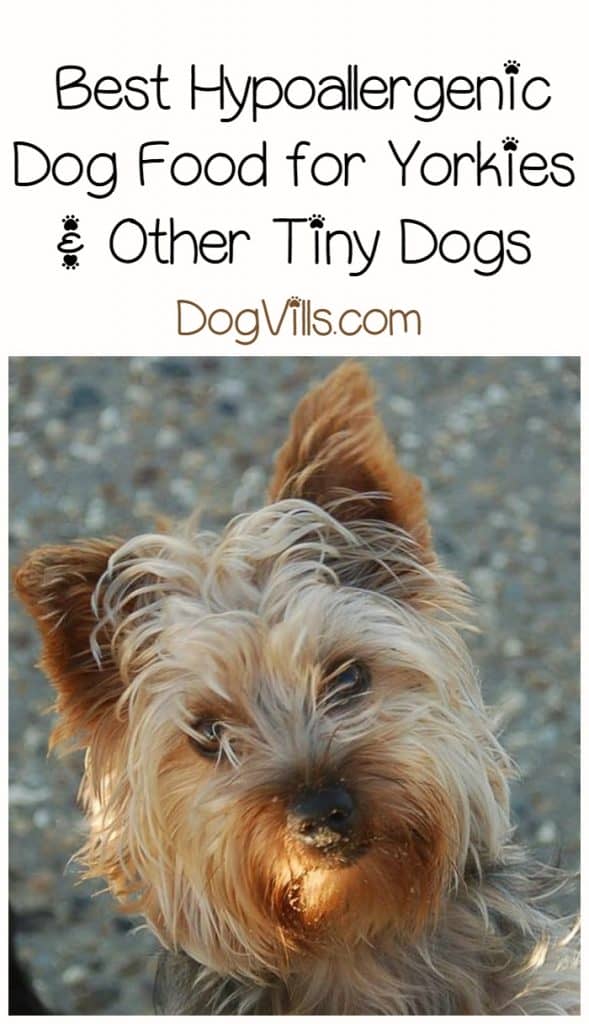 best hypoallergenic dog food