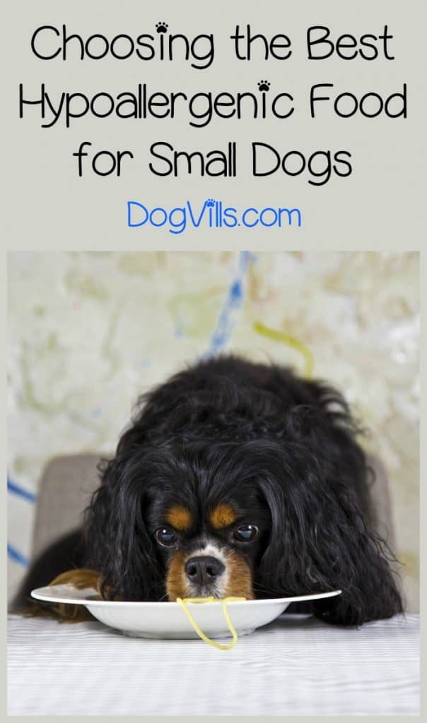 best limited ingredient dog food for small dogs