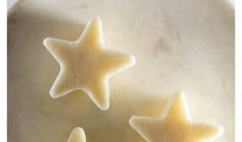 Cool down your hot dog this summer with our easy 3-ingredient frozen yogurt homemade hypoallergenic dog treat recipe! Check it out!