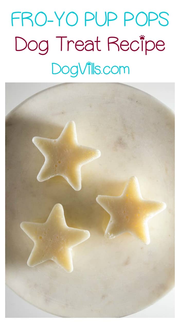 Hypoallergenic Dog Treat Recipe 3Ingredient FroYo Pup Pops