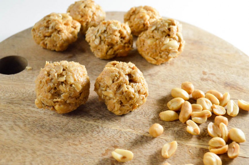 Ready for a great no-bake hypoallergenic dog treat recipe? Whip up a batch of our honey oat peanut butter balls for your pooch today!
