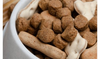 Looking for a great way to “spice” up your pup’s food? Check out these 5 great dog kibble toppers!