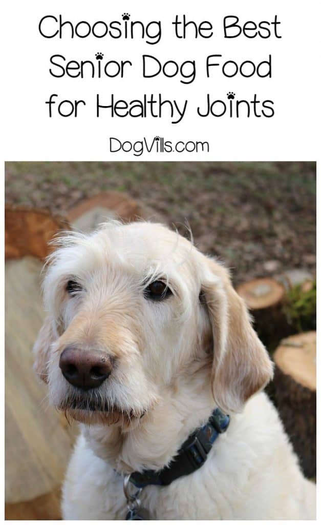 best senior dog food for joints
