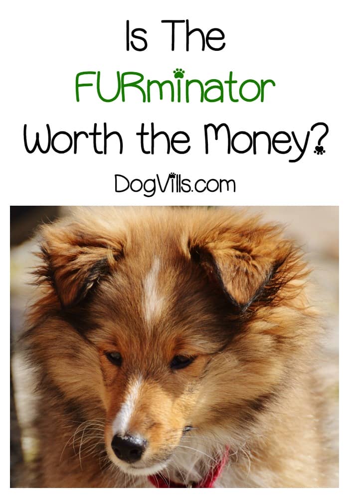 Is The FURminator Worth the Money? DogVills