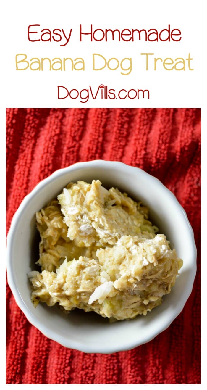 Homemade Banana Dog Treat Recipe Made in the Microwave