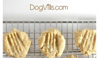 Looking for easy dog food recipes? Use baby food to make this yummy soft cookie homemade hypoallergenic dog treat recipe!