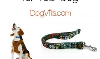 Walk your dog in style with these 5 fabulous Star Wars dog leashes and harnesses! They're a must for any fan of the franchise!