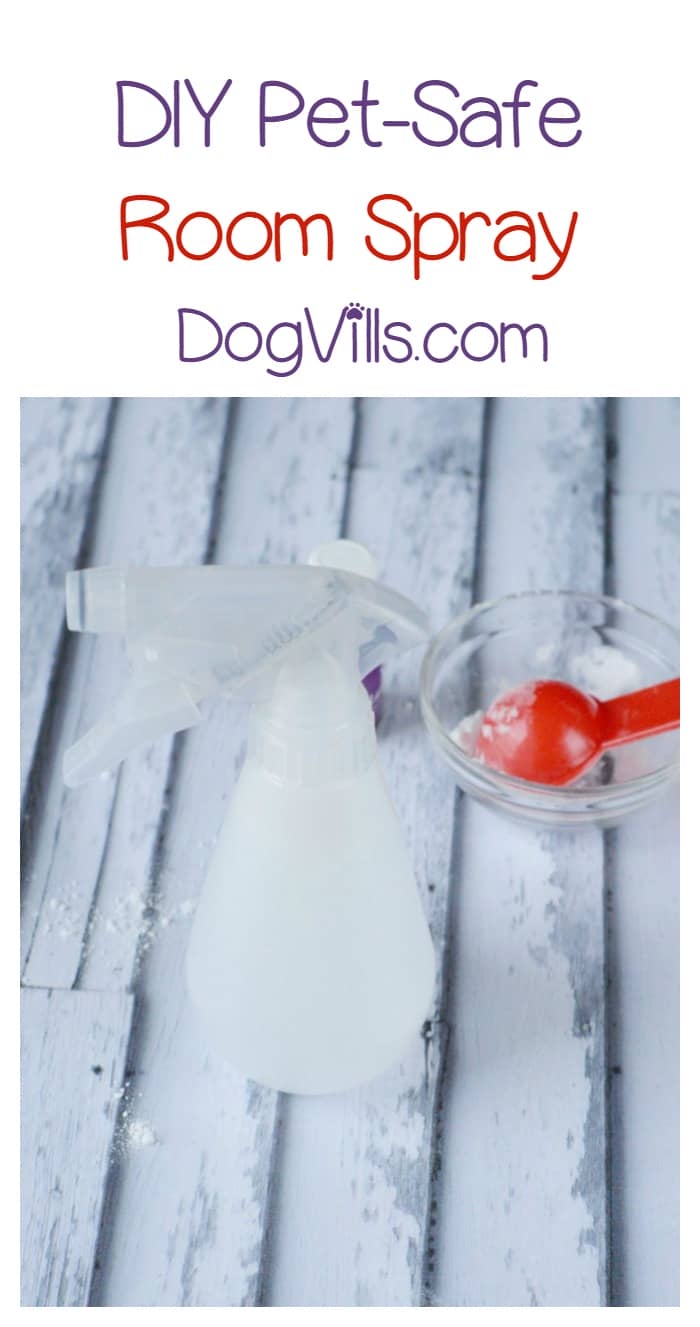 Diy Pet Safe Essential Oil Deodorizer Spray Recipe