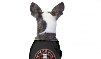 Thinking about dressing your pup in a Stormtrooper dog costume? Here is what you need to know to get your idea ready for you pup.