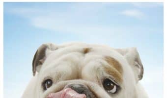 Looking for the best grain-free hypoallergenic dog food for your pup with allergies? You don't have to look far at all! Find out why!